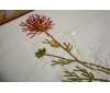 Постельное белье с вышивкой и покрывалом пике Saheser - Noris Stone (Turkey), евро комплект
